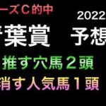 【競馬予想】 青葉賞 2022 予想