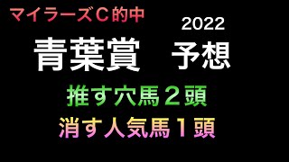 【競馬予想】 青葉賞 2022 予想