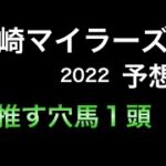 【競馬予想】 南関東重賞　川崎マイラーズ 2022 予想