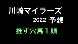【競馬予想】 南関東重賞　川崎マイラーズ 2022 予想