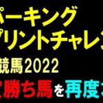 スパーキングスプリントチャレンジ【川崎競馬2022予想】川崎スパーキングスプリントＴＲ