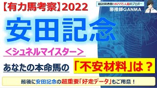 【安田記念2022 有力馬考察】シュネルマイスター他 人気馬5頭を徹底考察！