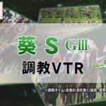 【調教動画】2022年 葵ステークス｜JRA公式