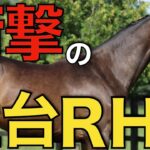 【大物揃い】社台系40口の募集予定馬がついに発表！社台RHのインパクトが強すぎた。