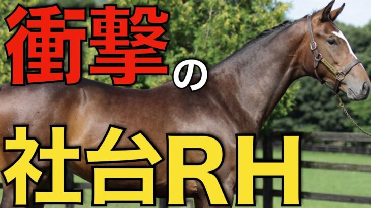 【大物揃い】社台系40口の募集予定馬がついに発表！社台RHのインパクトが強すぎた。