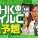 【NHKマイルカップ 2022】さあ来た得意の東京開催！水上学が枠順確定後に選んだ本命候補【競馬 予想】