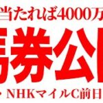 【NHKマイルC】ここでは抜けてる！自信があるから前日100万購入！買い目公開！