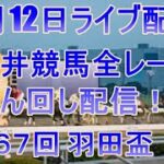 大井競馬ライブ　メインレース第６７回 羽田盃