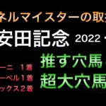 【競馬予想】　安田記念 2022 予想
