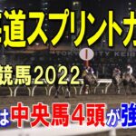 北海道スプリントカップ【門別競馬2022予想】海外重賞圧勝で本格化！！