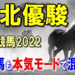 東北優駿【水沢競馬2022予想】岩手ダービー！？今年は距離に不安な馬が多く・・・