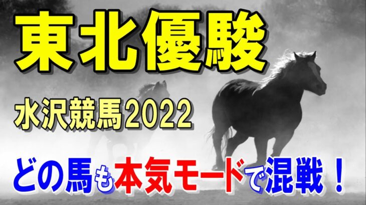 東北優駿【水沢競馬2022予想】岩手ダービー！？今年は距離に不安な馬が多く・・・