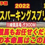 【 川崎スパーキングスプリント 2022 】地方競馬予想！今週は川崎が熱い！2日連続で重賞予想！M氏、アクアの本命馬は！？