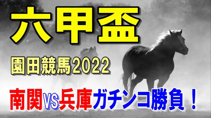 六甲盃【園田競馬2022予想】能力ですべてカバーし距離克服！