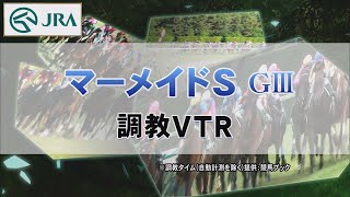 【調教動画】2022年 マーメイドステークス｜JRA公式