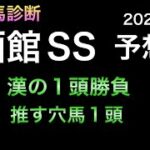 【競馬予想】 函館スプリントステークス 2022 予想　函館SS