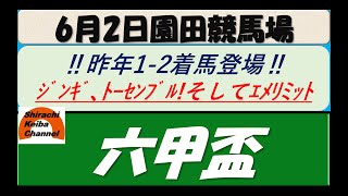 【競馬予想】重賞・六甲盃2022年6月2日 園田競馬場