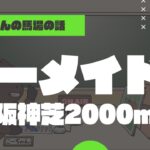 【2022マーメイドS】阪神芝2000ｍの特徴と馬場傾向（トラックバイアス）