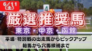 【中央競馬予想】6月11日(土)平場・特別レースの注目推奨馬ピックアップ