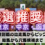 【中央競馬予想】6月12日(日)平場・特別レースの注目推奨馬ピックアップ