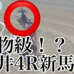 6/27 大井4R 2歳新馬 レース映像【シテイタイケツ】