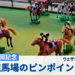 【競馬天気】第72回安田記念 東京競馬場のピンポイント天気