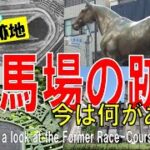 【第１弾】競馬場の跡地を飛ぶ　~ 今は何がある？ 【Former Racecourse Part1 / Japan Tour on Google Earth】