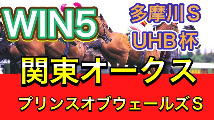 【競馬】多摩川S/UHB杯❗️【おまけ】関東オークスとプリンスオブウェールズSの狙い馬⁉️