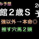 【競馬予想】 函館2歳ステークス 2022 予想