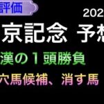 【競馬予想】 中京記念 2022 予想