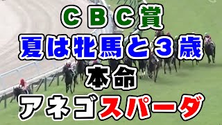 【競馬】ＣＢＣ賞2022　夏は牝馬！本命：アネゴハダ　テイエムスパーダ