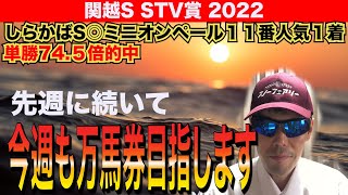 【関越ステークス2022 STV賞2022】今週も万馬券目指します！！【競馬予想】