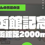 【2022函館記念】函館芝2000ｍの特徴と馬場傾向（トラックバイアス）