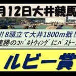 【競馬予想】ルビー賞2022年7月12日 大井競馬場