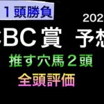【競馬予想】 CBC賞 2022 予想