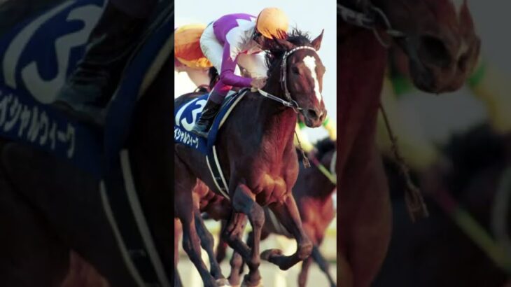 日本競馬史上最高水準を誇った世代のダービー馬で、２０世紀の名馬大投票でも二位に選出された不滅のヒーロー　#shorts #競馬 #スペシャルウィーク