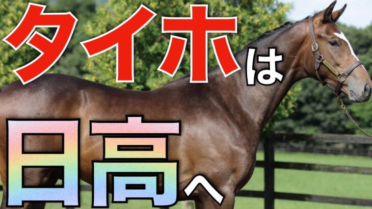 【日高魂】タイトルホルダーの種牡馬入りはレックススタッドを予定！岡田牧雄さんの信念を感じた。