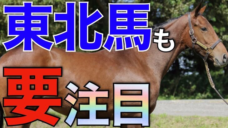 【上昇ある】ウインバリアシオン産駒が健闘！種牡馬も充実してきた東北馬に要注目。