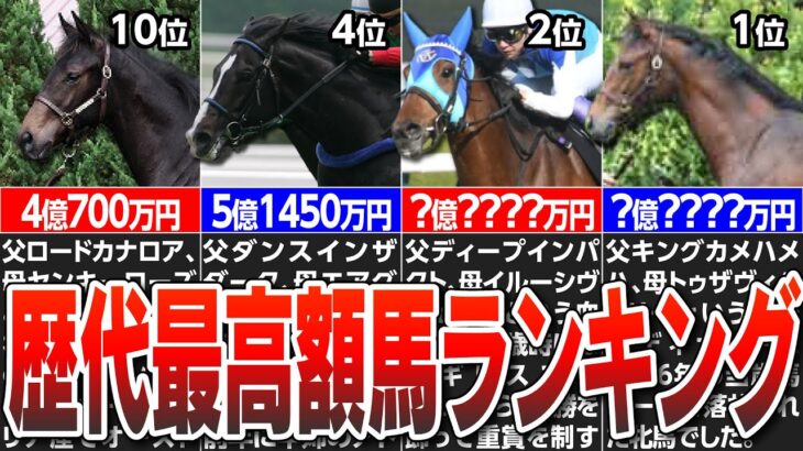 【競馬】超高額落札馬がスゴすぎる！歴代最高額馬ランキングトップ10！