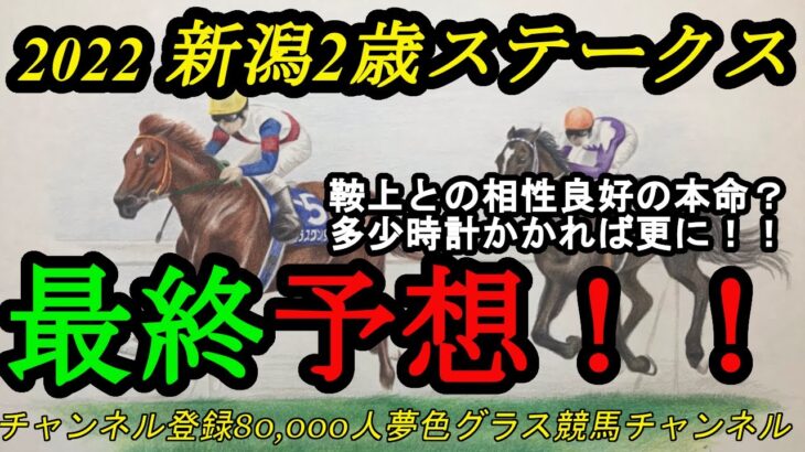 【最終予想】2022新潟2歳ステークス！この馬と鞍上の特徴がマッチしそう！？前走強烈パフォーマンス馬がいないレース？