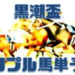 黒潮盃2022｜星月夜特別・葉月賞【2022年8月17日大井競馬トリプル馬単予想】