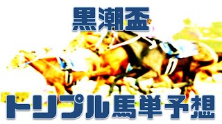 黒潮盃2022｜星月夜特別・葉月賞【2022年8月17日大井競馬トリプル馬単予想】