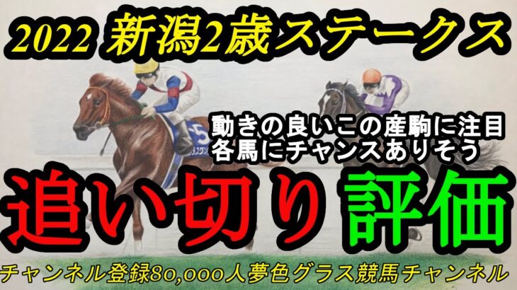 【最終追い切り評価】2022新潟2歳ステークス！この馬の産駒2頭に期待！未知の魅力の馬たちで楽しみ！