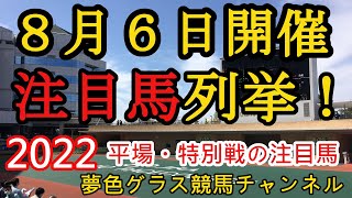 【注目馬列挙・平場予想】2022年8月6日JRA平場特別戦！函館2歳Sに出ても印を打ちたかった実力馬？