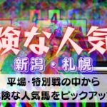 【中央競馬予想】8月6日(土)平場・特別レースの危険な人気馬ピックアップ