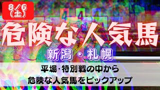 【中央競馬予想】8月6日(土)平場・特別レースの危険な人気馬ピックアップ