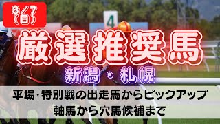 【中央競馬予想】8月7日(日)平場・特別レースの注目推奨馬ピックアップ