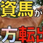 【期待のゴルシ】初出資馬がJRAから名古屋競馬に転出へ！復帰を目指して頑張ってほしい。