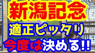 【競馬予想TV】 適正ピッタリ、今度は決める!!【新潟記念】