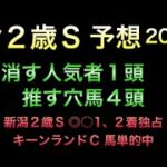 【競馬予想】 小倉2歳ステークス 2022 予想